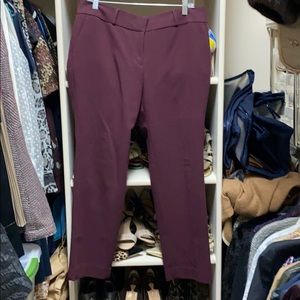 LOFT wine colored straight pants